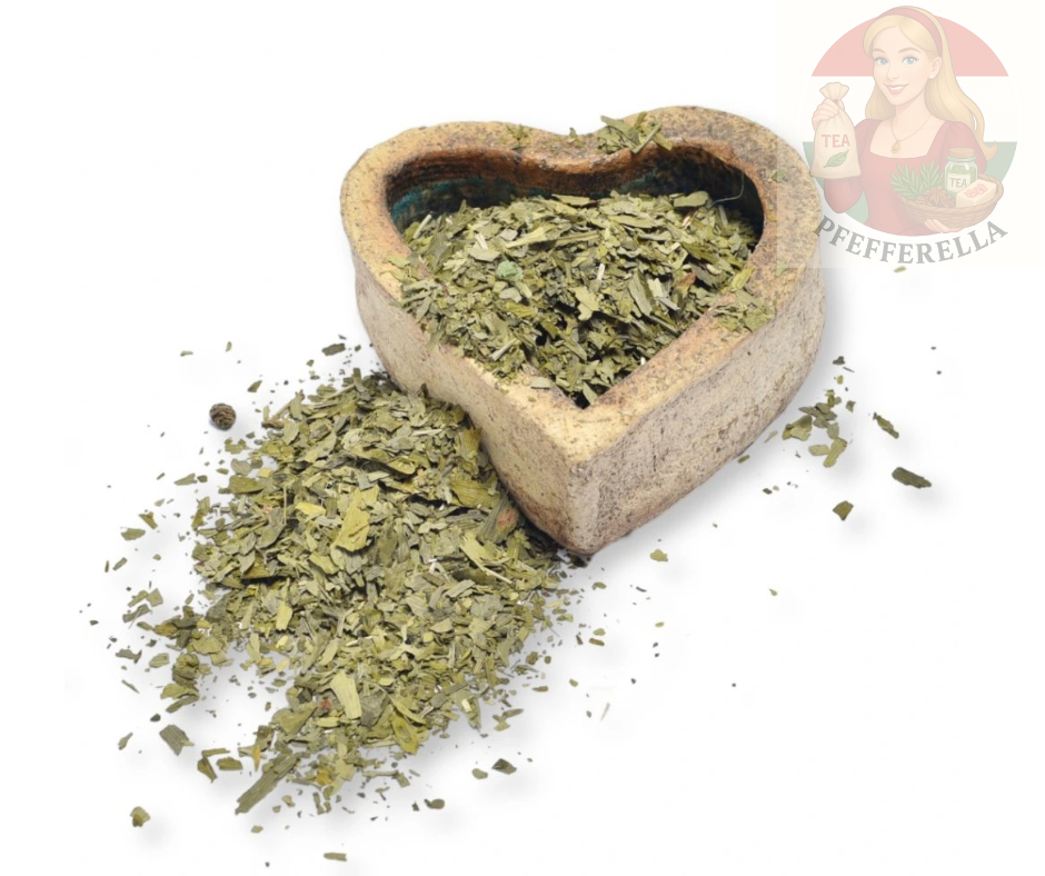 Ginkgo biloba – Blätter geschnitten