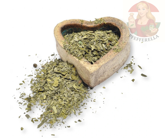 Ginkgo biloba – Blätter geschnitten