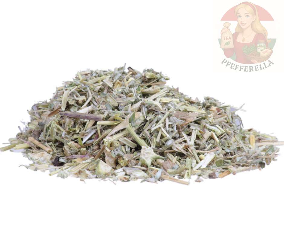 Erd-Burzeldorn (Tribulus terrestris) – Kräutertee