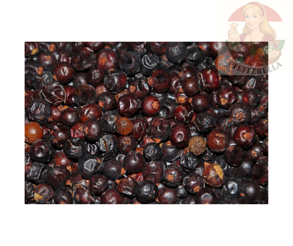 Roter Wacholder ganz