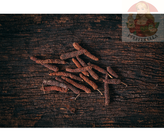 Pfeffer, lang (Piper longum)