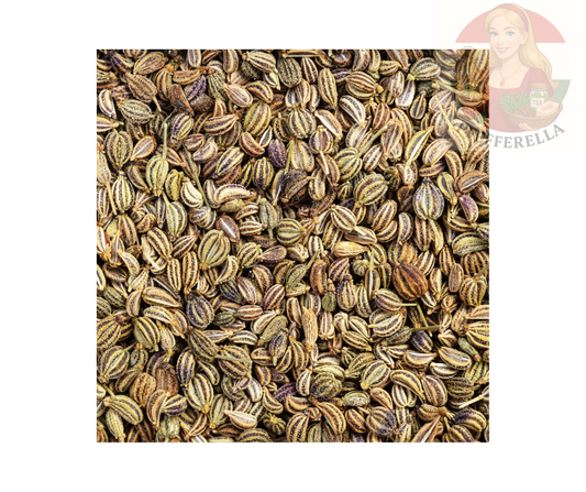 Ajwain – Koptischer Kümmel